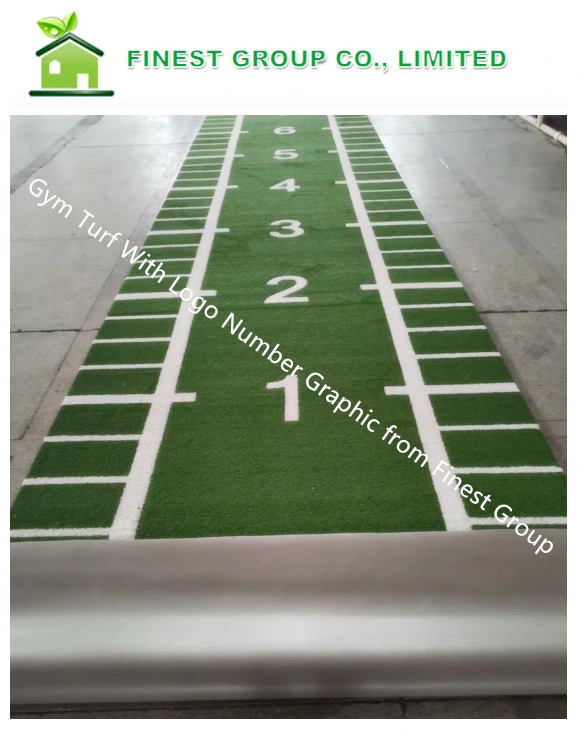 PU Foamed Back Bottom Artificial Grass, 5mm Foam PU Turf, Arstro Turf with PU Back, Gym Flooring Sled Track, PU Foamed Turf, PU Foamed Astro Turf with Logo